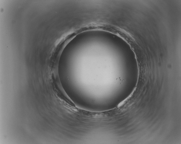 X0000069381160200605192142