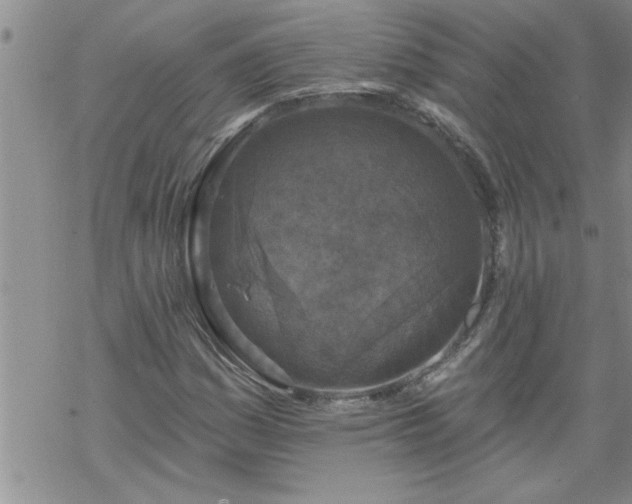 X0000069381161200605192142