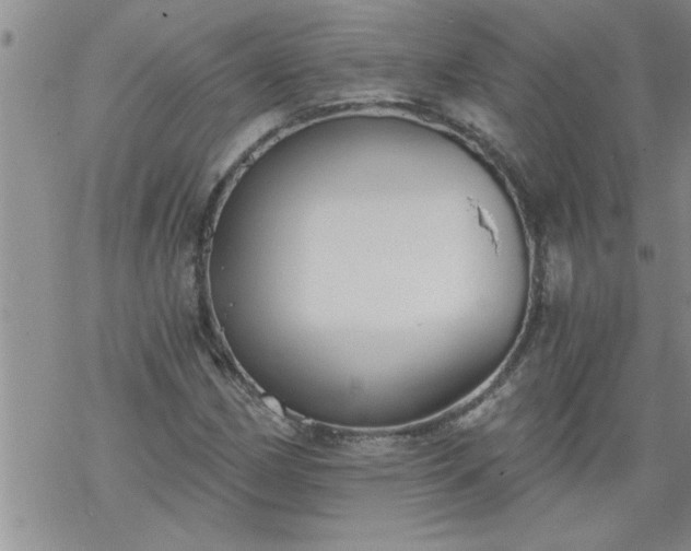 X0000069381162200605192142