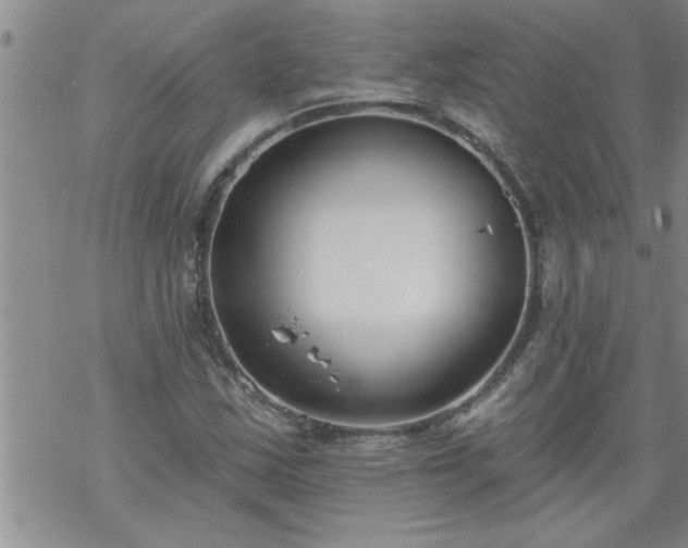 X0000069381163200605192142