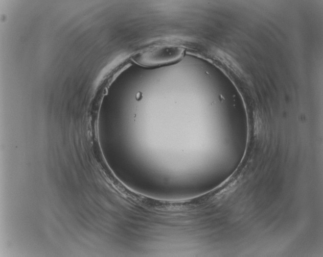 X0000069381164200605192142