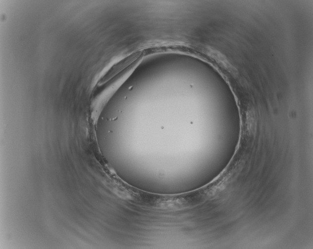 X0000069381165200605192141