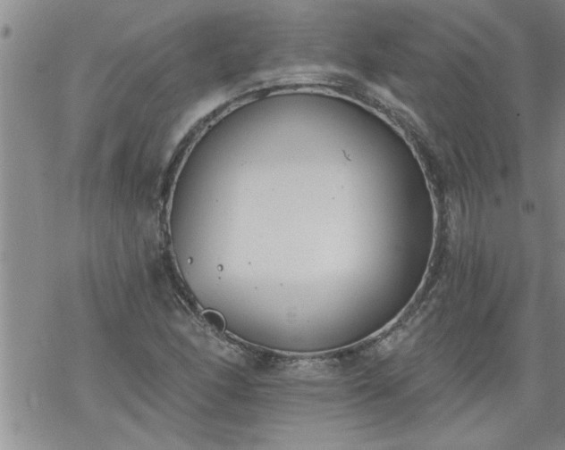 X0000069381166200605192141