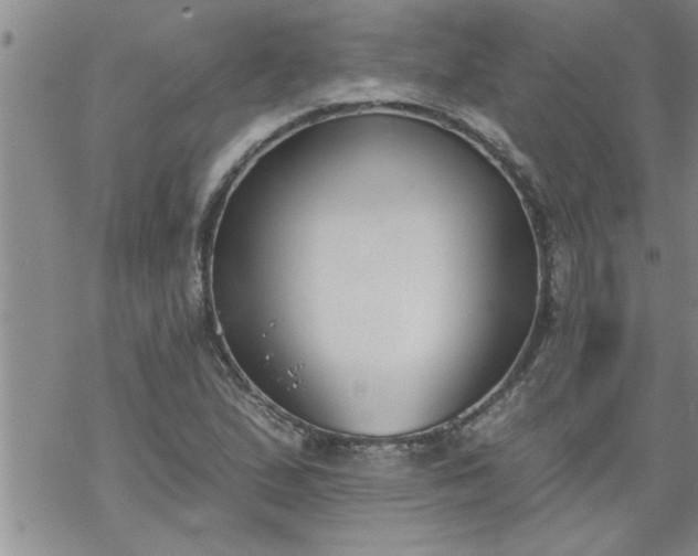 X0000069381167200605192141