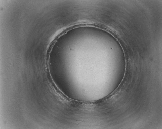 X0000069381168200605192141