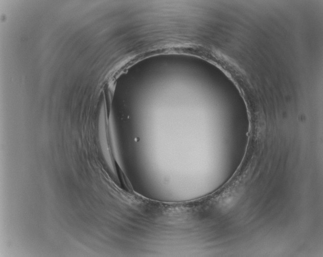 X0000069381169200605192141