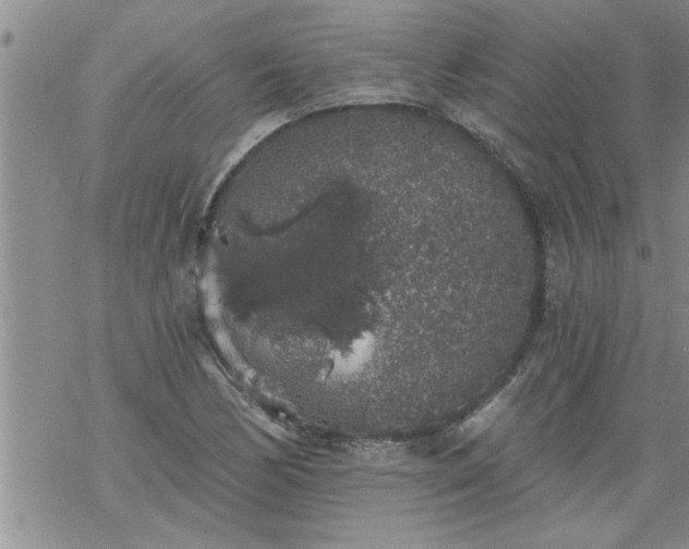 X0000069381170200605192141