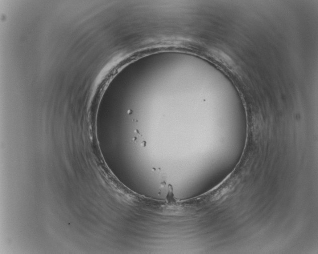 X0000069381172200605192141