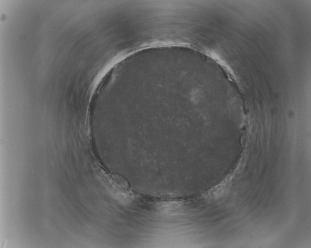 X0000069381173200605192141