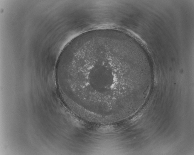 X0000069381174200605192141