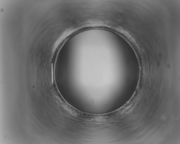 X0000069381175200605192141