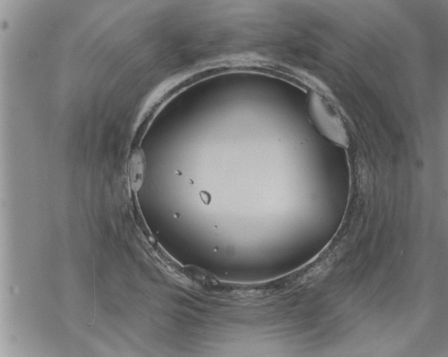 X0000069381176200605192141