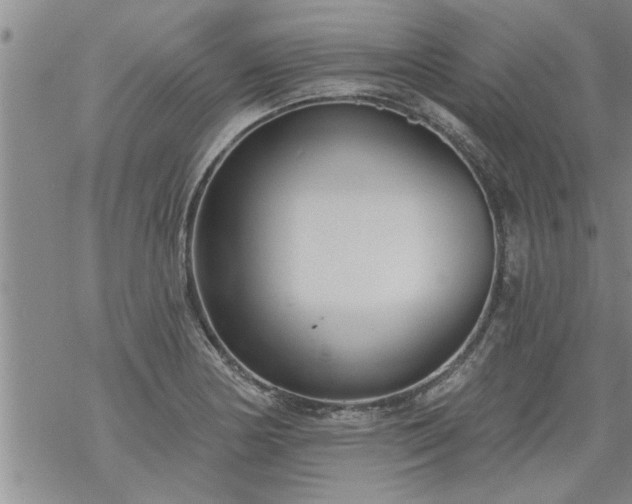 X0000069381178200605192141