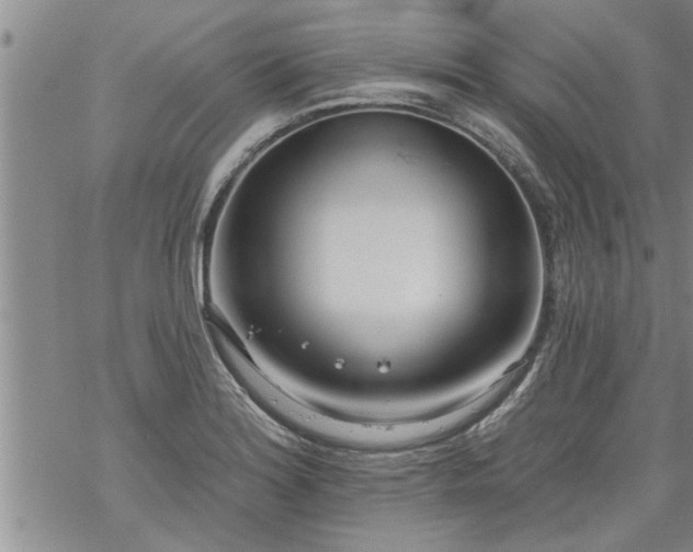 X0000069381180200605192141