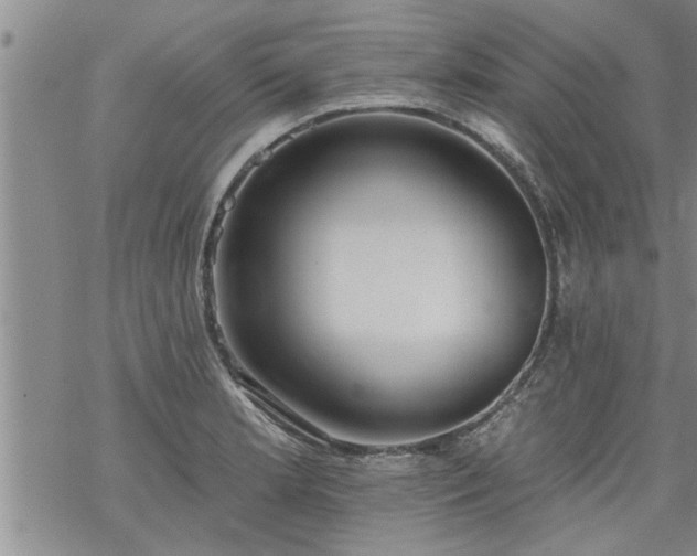 X0000069381181200605192141