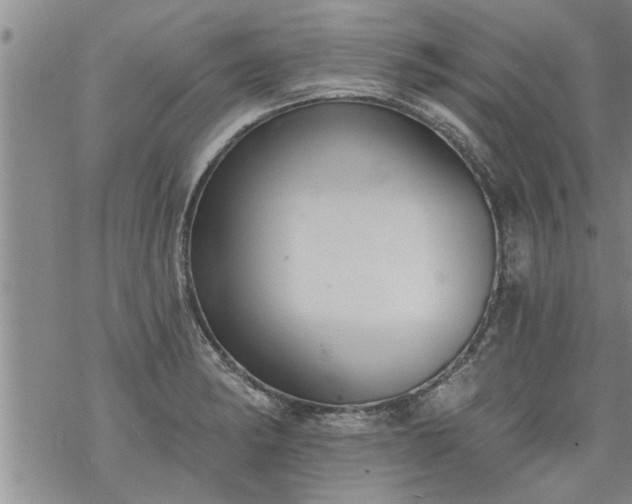 X0000069381182200605192141