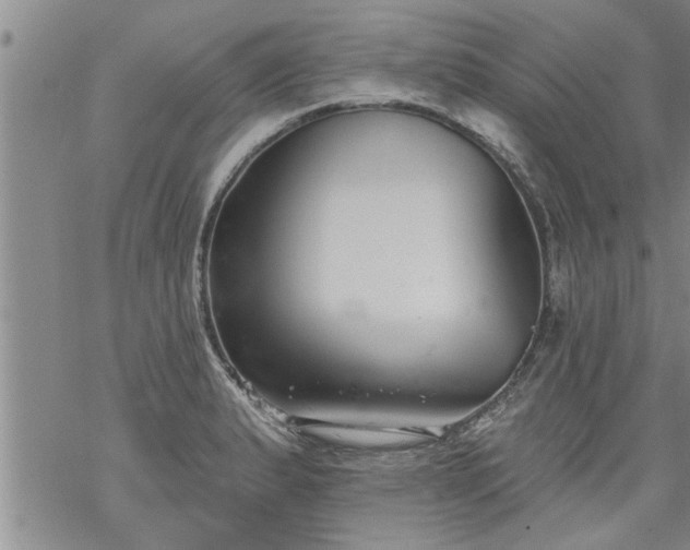 X0000069381183200605192141