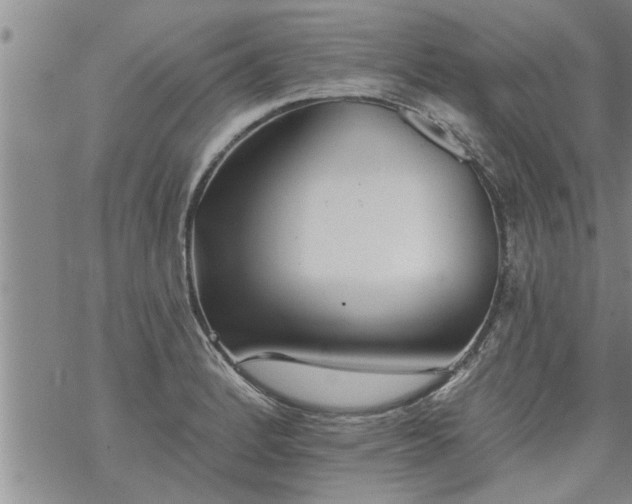 X0000069381184200605192141