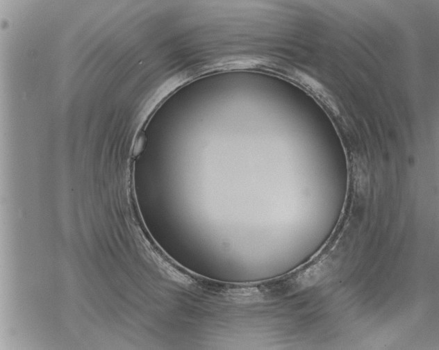 X0000069381186200605192141