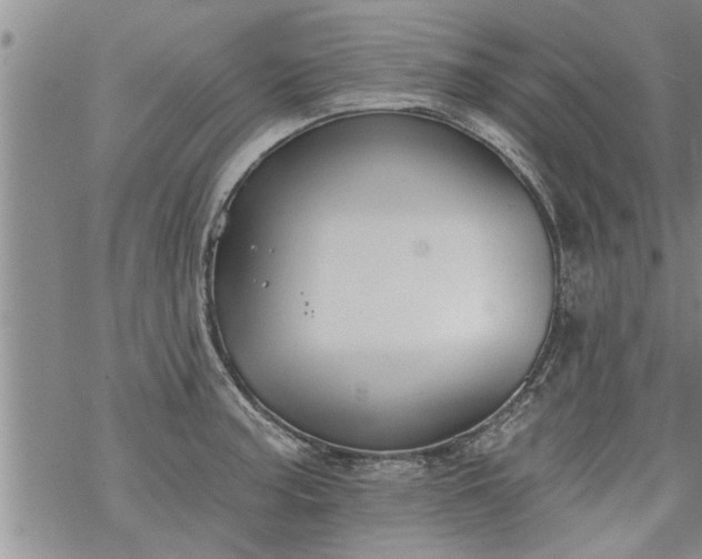 X0000069381187200605192141