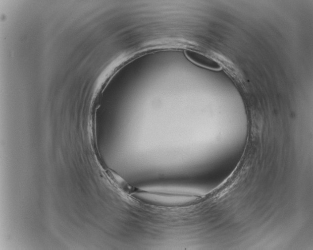 X0000069381188200605192141