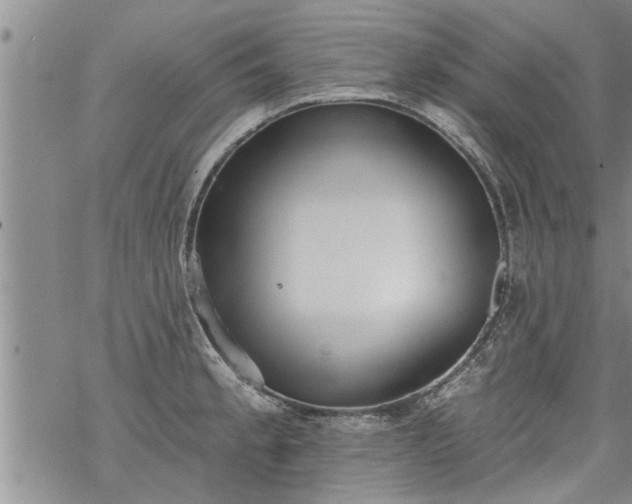 X0000069381189200605192141