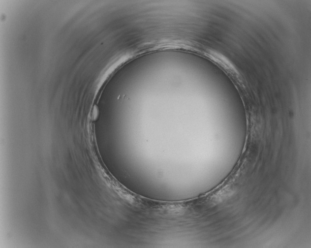 X0000069381190200605192141