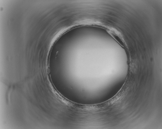 X0000069381191200605192141