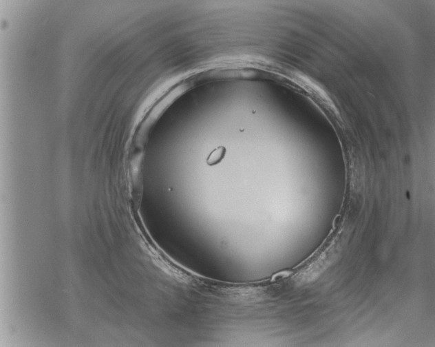 X0000069381192200605192141