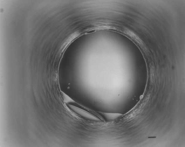 X0000069381193200605192141