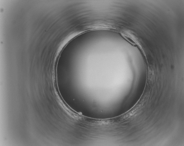 X0000069381195200605192141