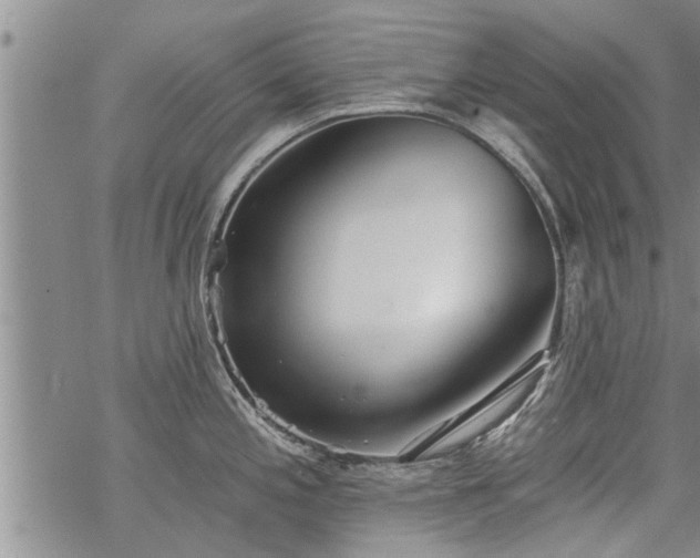 X0000069381197200605192141