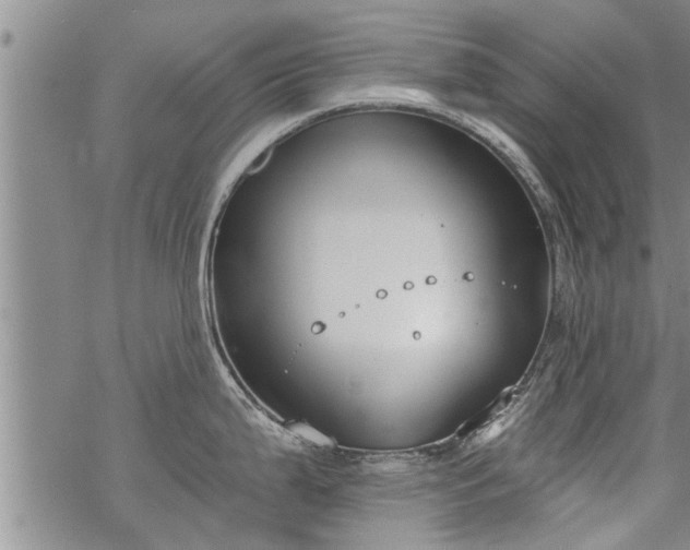 X0000069381199200605192141