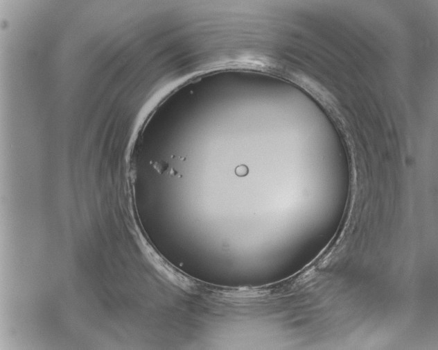 X0000069381200200605192141