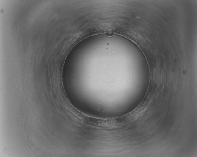 X0000069381201200605192140