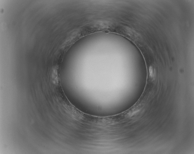 X0000069381203200605192140