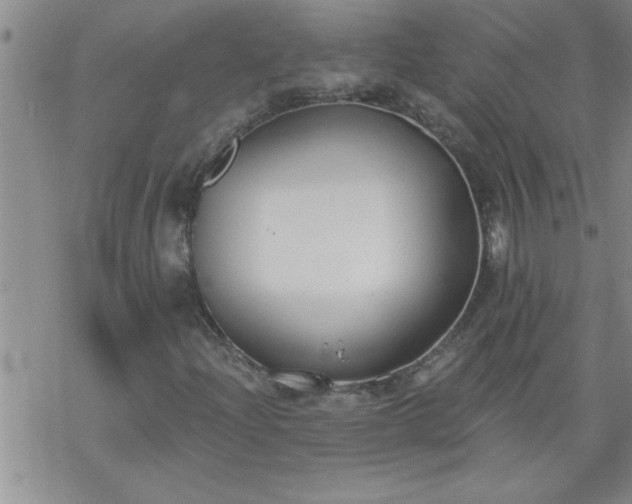 X0000069381204200605192140