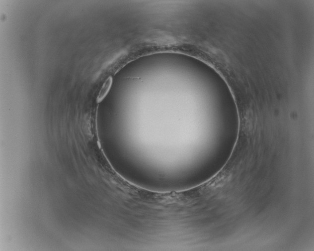 X0000069381205200605192140