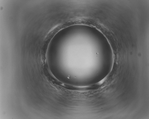 X0000069381206200605192140