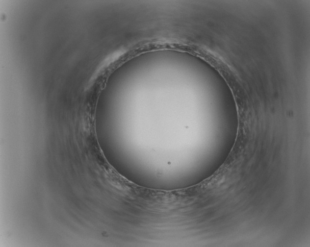 X0000069381207200605192140