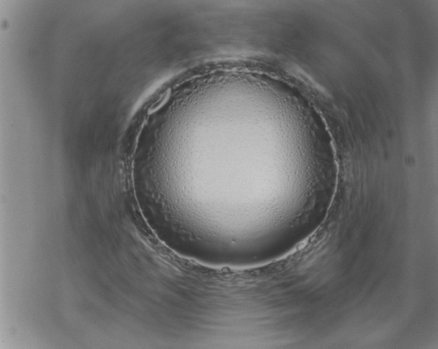 X0000069381208200605192140