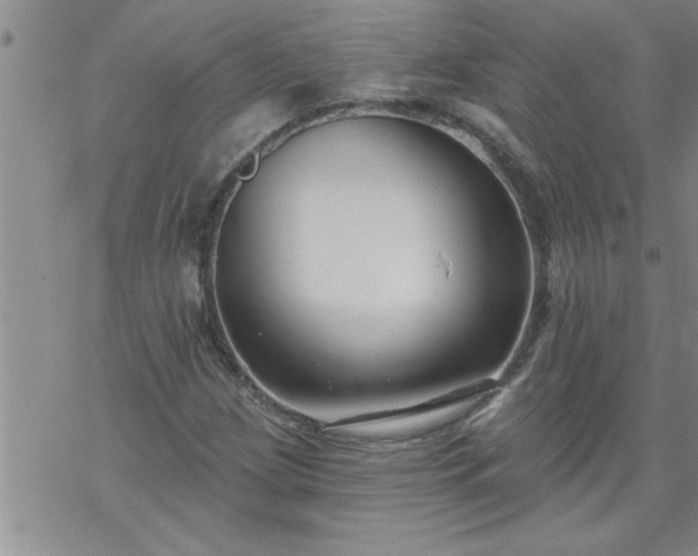 X0000069381209200605192140