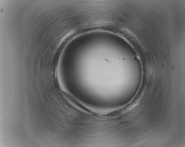 X0000069381210200605192140