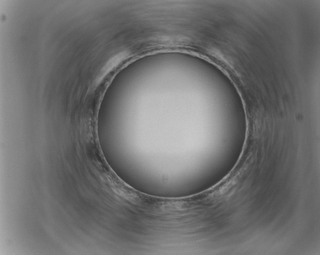 X0000069381211200605192140