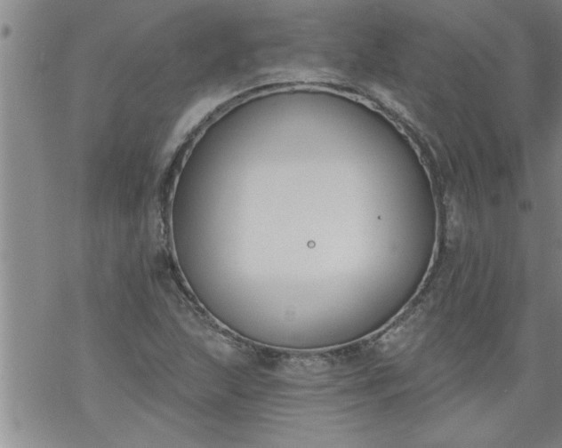 X0000069381215200605192140