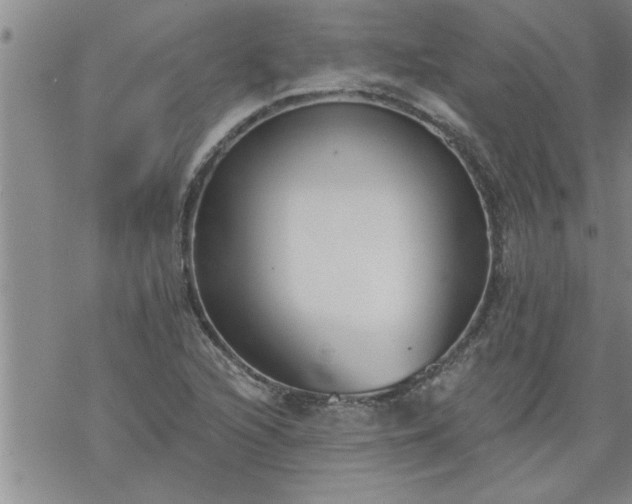 X0000069381216200605192140