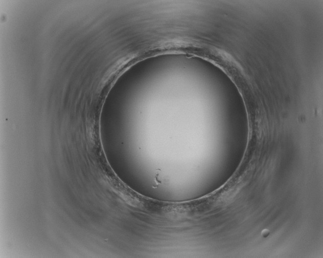 X0000069381217200605192140