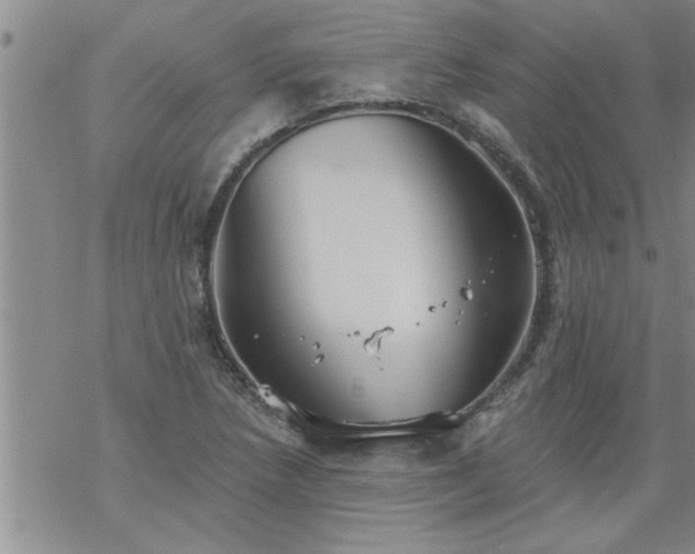 X0000069381218200605192140