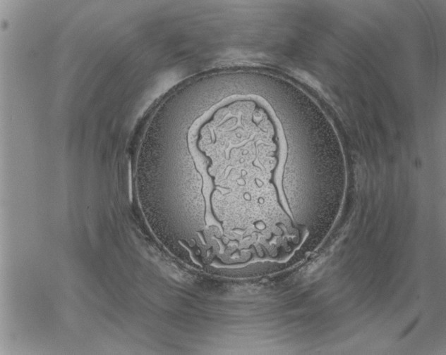 X0000069381219200605192140