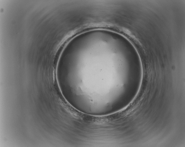 X0000069381221200605192140